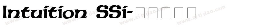 Intuition SSi字体转换